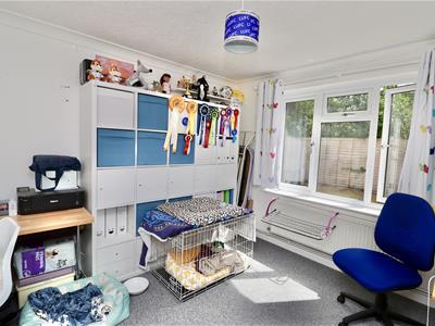 Picture 17